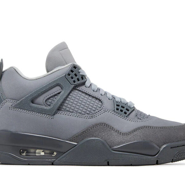 Jordan 4 SE Paris Olympic Wet Cement